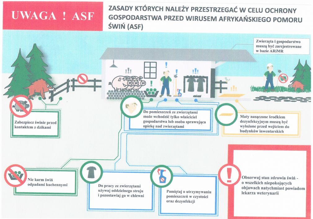 Informacje dotyczące ASF