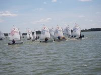VIII Regaty o Puchar Burmistrza Zalewa w klasie Optimist